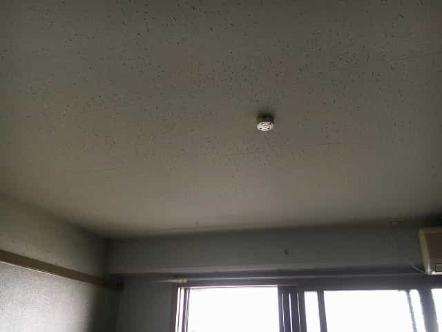409号室の室内写真13枚目