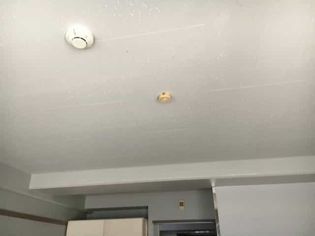 205号室の室内写真20枚目