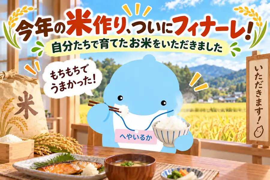 今年の米作り、ついにフィナーレ!自分たちで育てたお米をいただきました!
